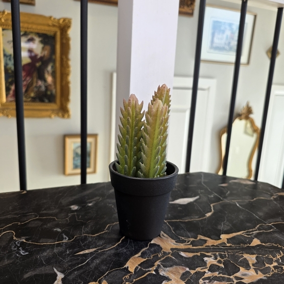 Mini Artificial Cactus Plant in Pot Faux Succulent for Modern Home Office Decor - Picture 5 of 5